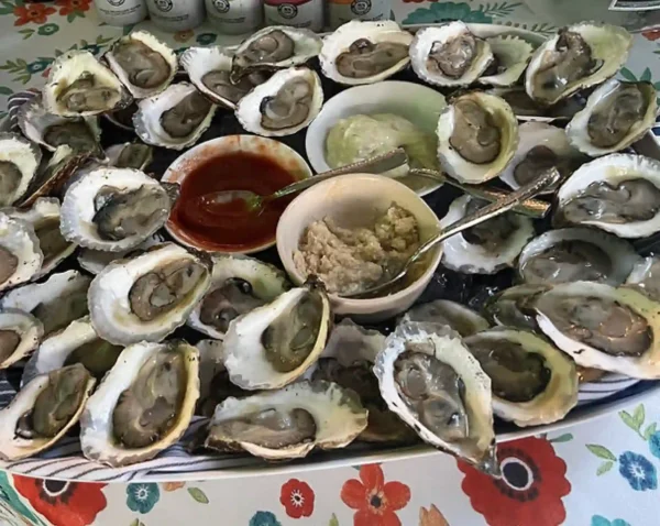 100 Oysters