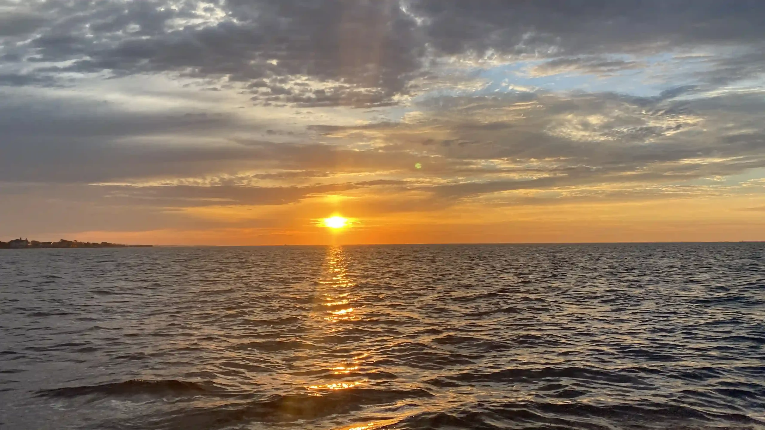 Discover the origin and history of Toasted Oysters, shaping our journey to success.